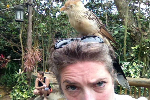 Bird on Lori's head at Discovery Cove aviary Bird on Lori's head at Discovery Cove aviary