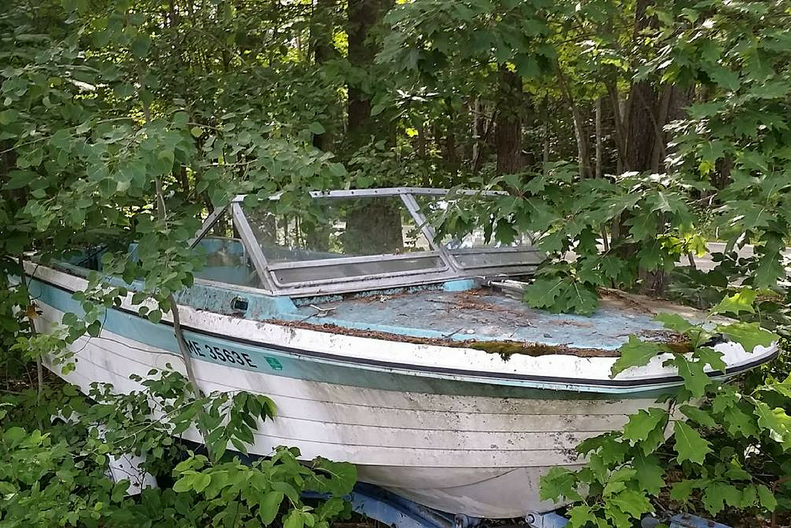 Craigslist Free Stuff Section Has All of Your Maine Summer ...