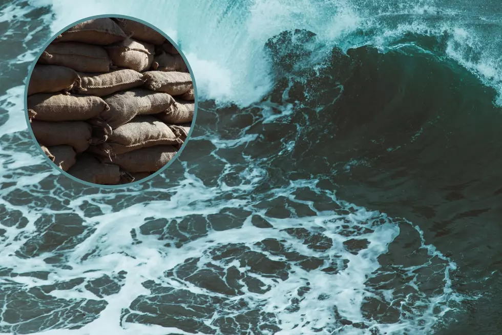 What is a Maine Sandbag Party & Why is It So Crucial?