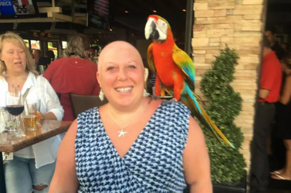 Survivor Stories: Kim ‘The Worst is Over…I Hope’