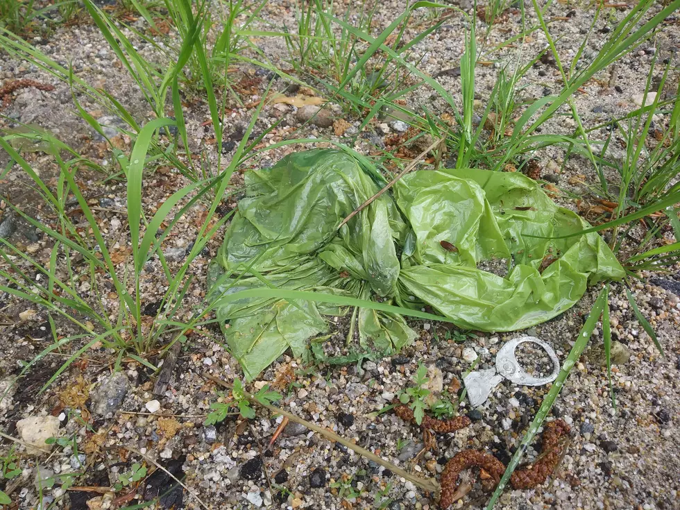 Why Do Some Dog Owners Leave Their Dogs’ $#^% Out In Bags?