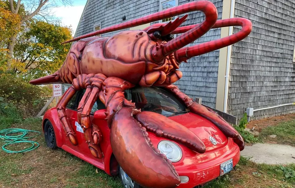 Craigslist Maine