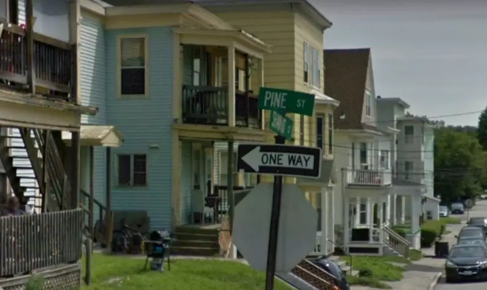 Do You Know What the Tree Streets of Lewiston Are?