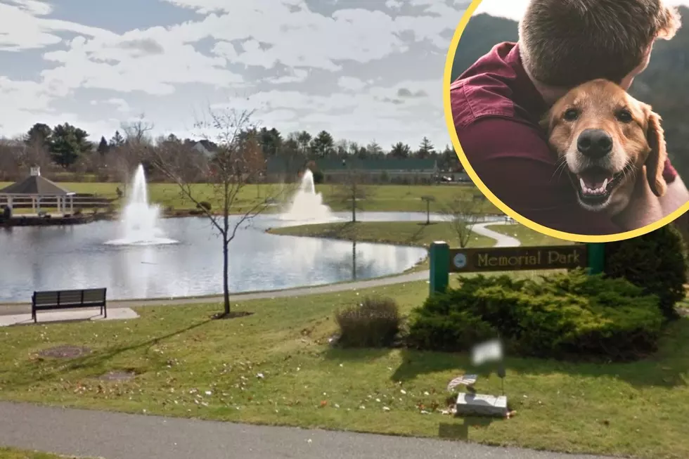 This Pet Walk in Scarborough, Maine, Could Literally Save Your Life