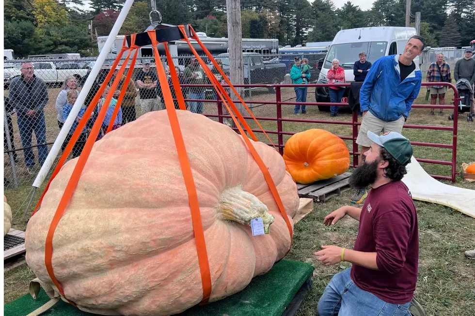 Race in a Giant Pumpkin Boat at Pumpkinfest & Regatta in Damariscotta, Maine