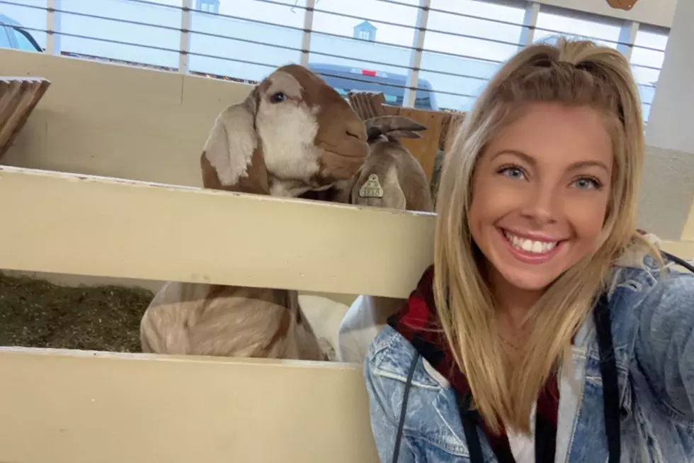 This One Moment at Maine’s Fryeburg Fair Restored My Lost Faith in Humanity