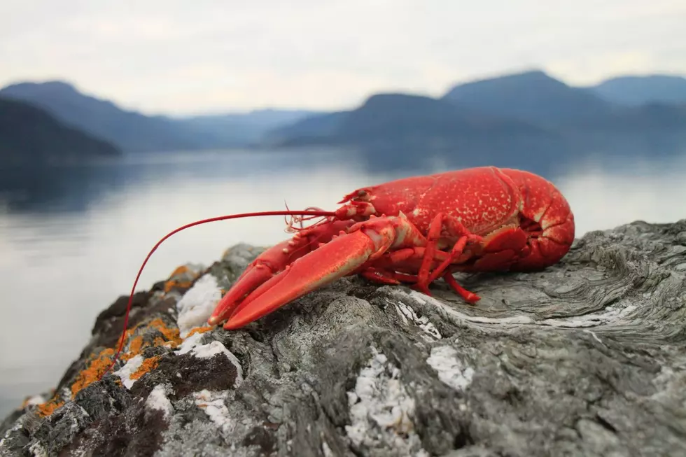 3 Iconic Maine Seafood Places You Have to Visit During the Spring