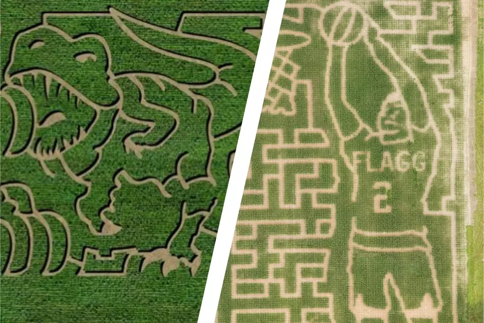 11 Must-Visit Maine Corn Mazes You’ll Want to Get Lost in This Fall
