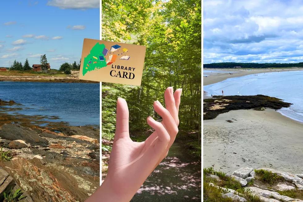 Here’s How Your Library Card Can Get You Into Maine State Parks for Free
