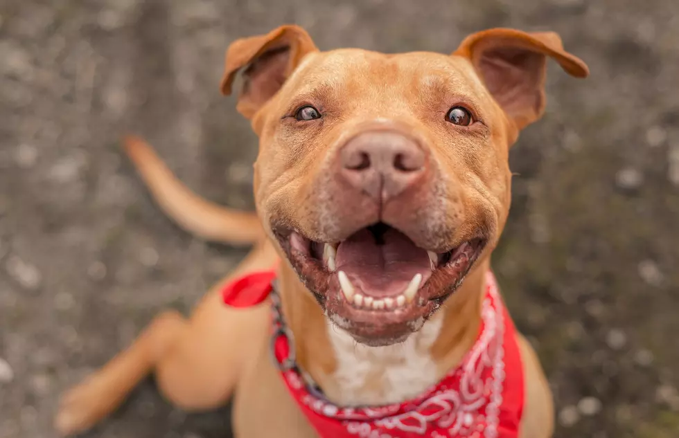What New England State is the “Happiest’ in This National Study?